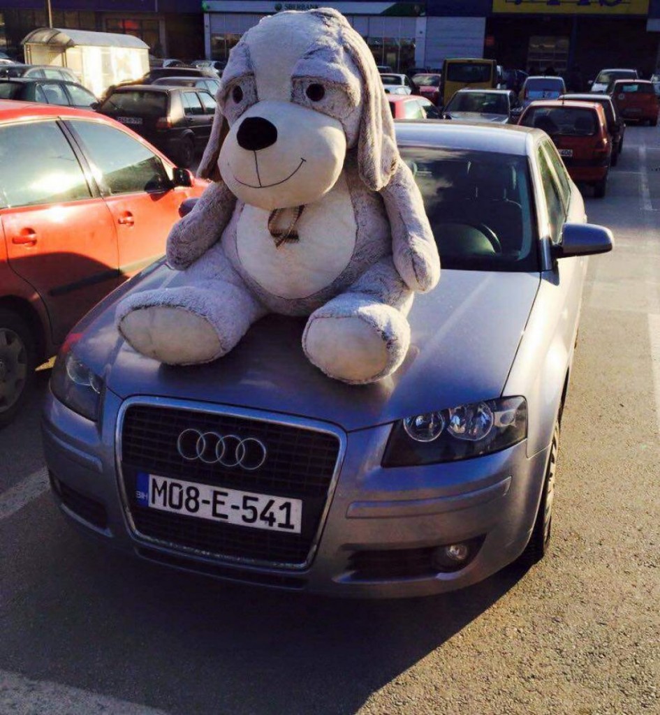 56dec252-b5bc-4285-b6a7-36730a0a0ab0-spot-emina2-previewOrg